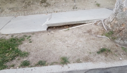 broken sidewalk